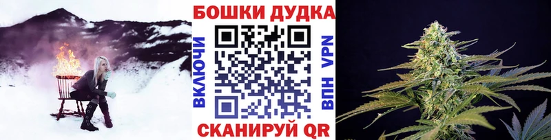 МЕФ Томмот