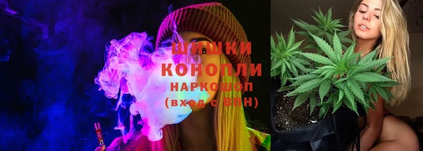 прущие грибы Алексин