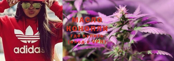крисы Алзамай